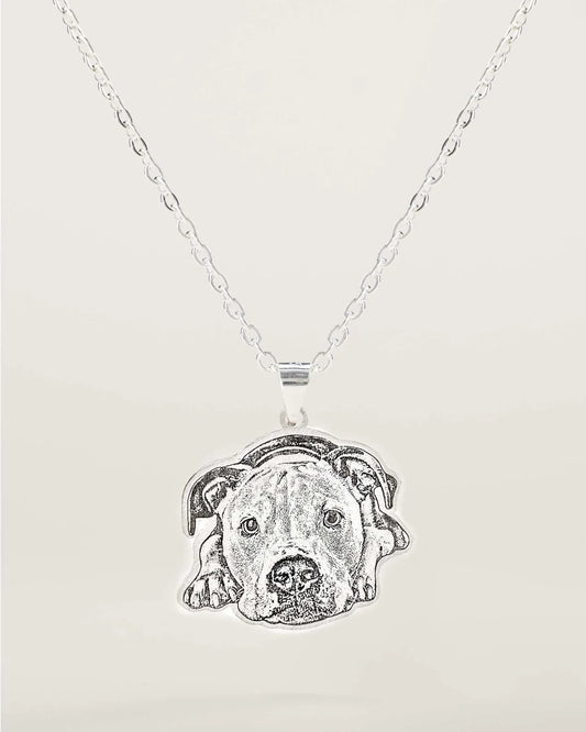 Collar Personalizado con Foto de Mascota