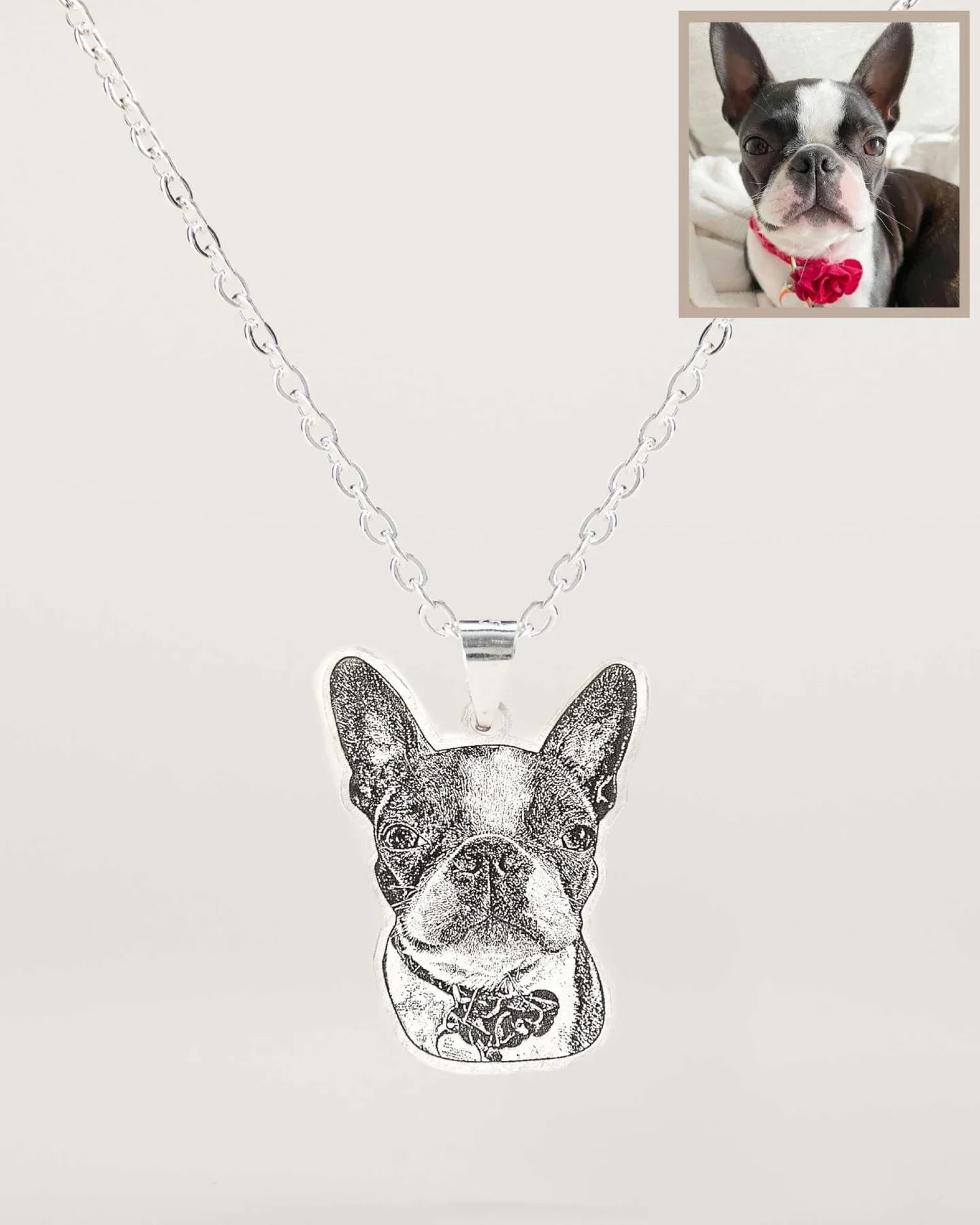 Collar Personalizado con Foto de Mascota